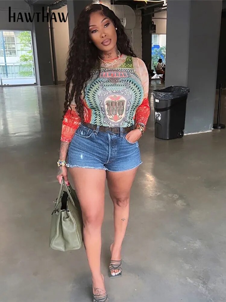 Long Sleeve Graphic Mesh See Through Tee